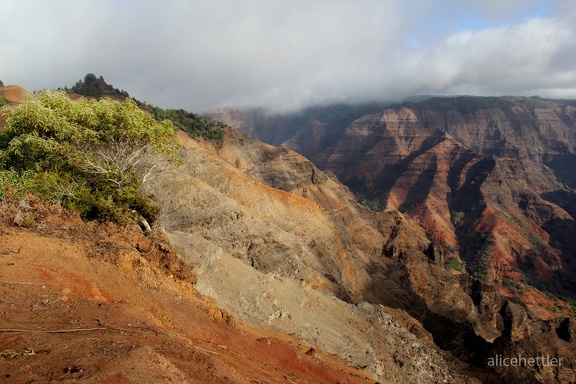 Waimea Canyon